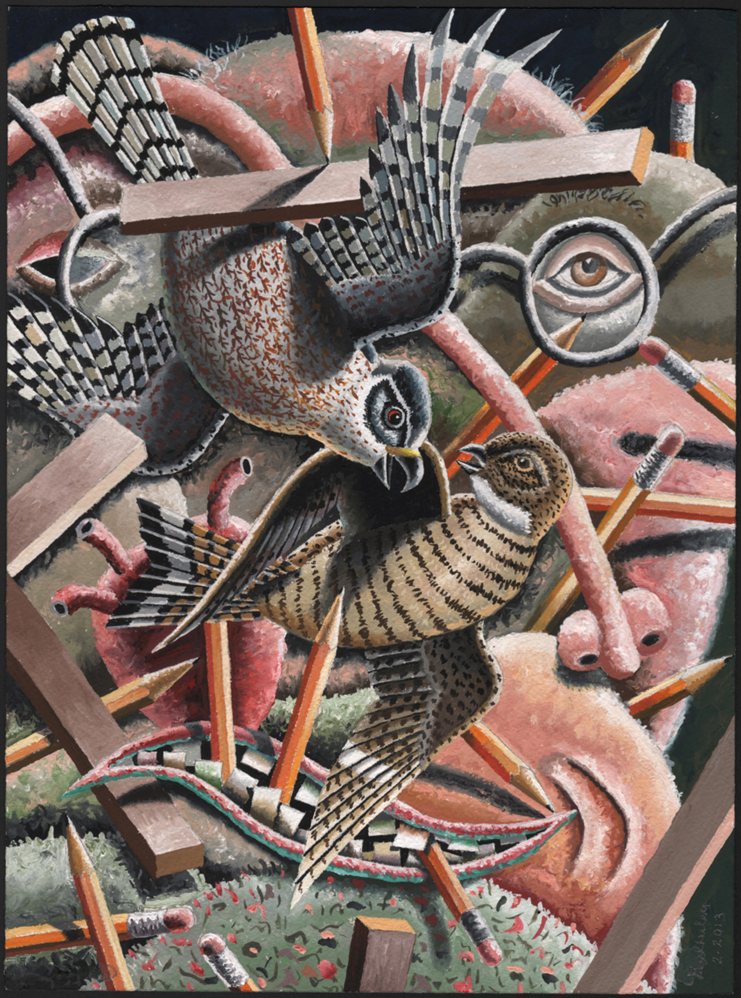 Book: Sharp-shinned Hawk Mask